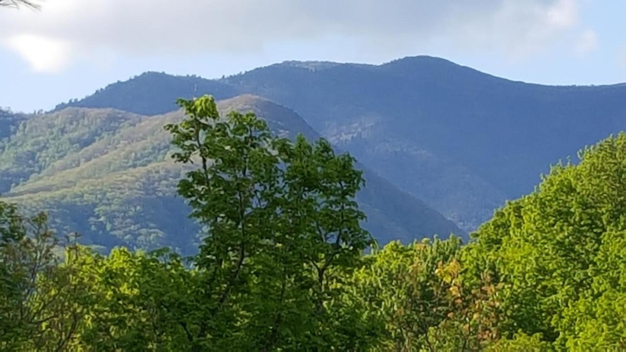 Mountain Serenity Gatlinburg Bagian luar foto
